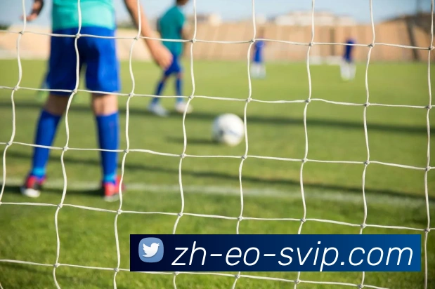 B体育官网平台生态图